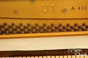 U1A